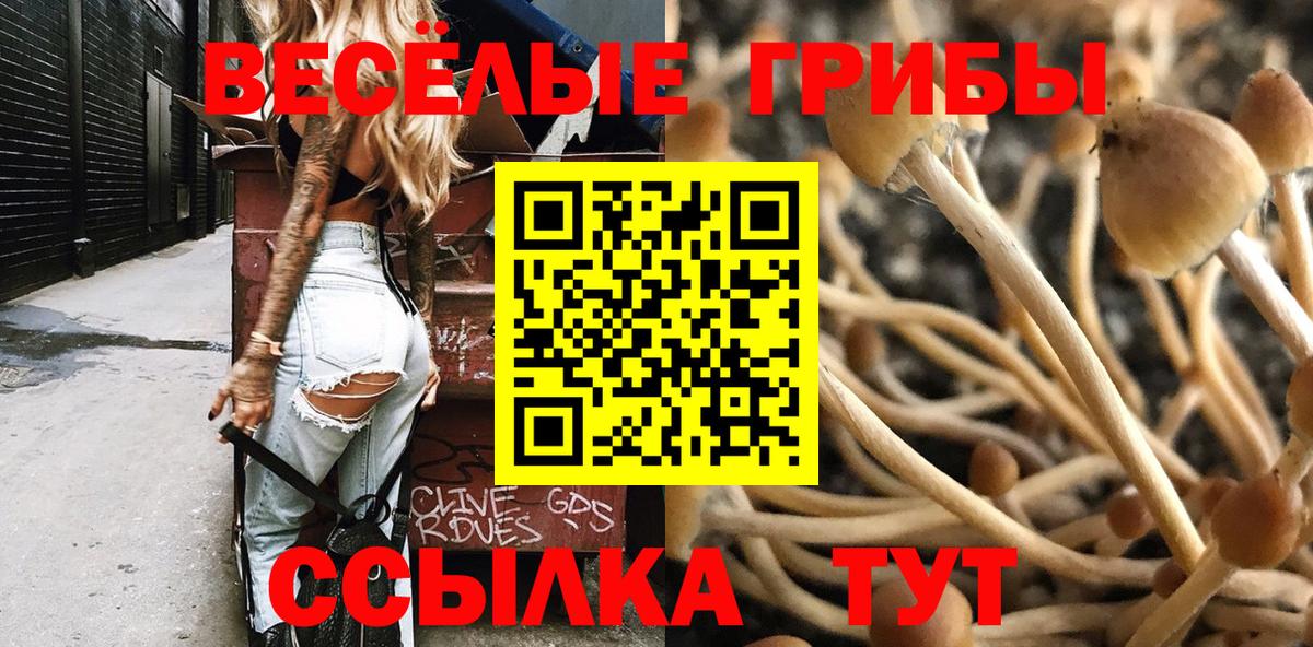 Псилоцибиновые грибы Psilocybe Пыть-Ях