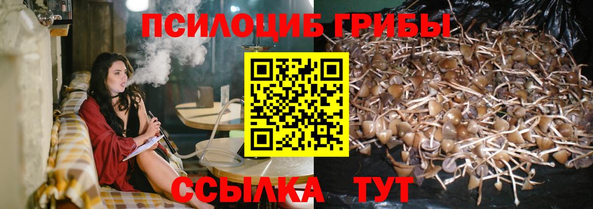 Пыть-Ях  Галлюциногенные грибы Psilocybe  Вход с VPN 