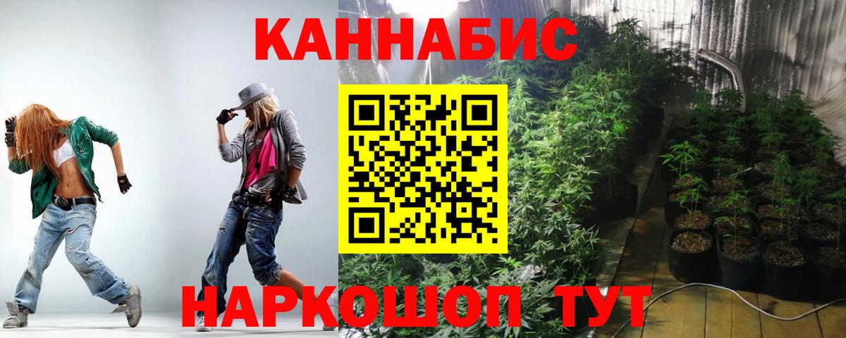 Бошки Шишки план Пыть-Ях
